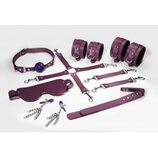 Набір Feral Feelings BDSM Kit 7 Burgundy, наручники, поножі, конектор, маска, паддл, кляп, затискачі