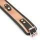 Нашийник з повідцем Liebe Seele Rose Gold Memory Collar with Leash