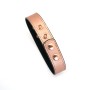 Нашийник із затискачами для сосків Liebe Seele Rose Gold Memory Collar with Nipple Clamps