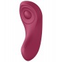 Набір Satisfyer Partner Box 1 (вібратор для пар Double Joy + вібратор у трусики Sexy Secret) (м'ята упаковка!!!)